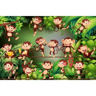 Majmok , poszter tapéta 375*250 cm