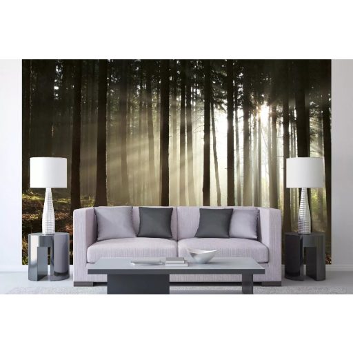 Hajnali erdő, poszter tapéta, 375*250 cm