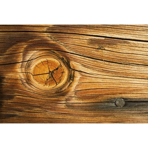 Faszelet, poszter tapéta 375*250 cm