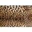 Leopárd, poszter tapéta 375*250 cm