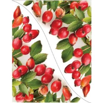 Csipkebogyó sarokmintában, sztatikus ablakmatrica