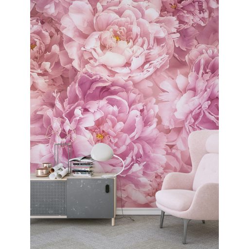 Szelíd, poszter tapéta