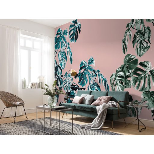 Monstera Rosé, poszter tapéta