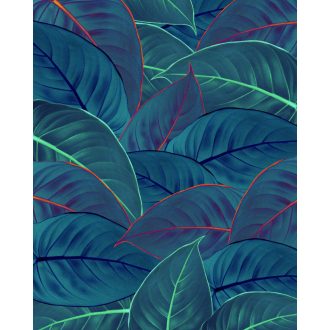 Lombozat, poszter tapéta