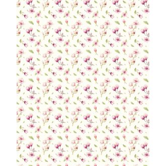 Magnolia Rapport, poszter tapéta