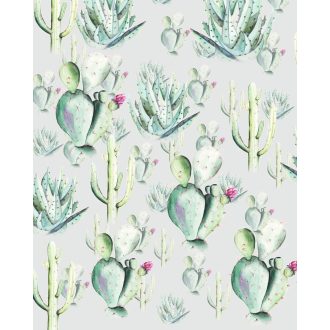 Kaktusz Szürke, poszter tapéta