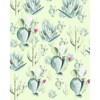 Kaktusz Zöld, poszter tapéta