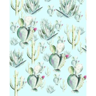 Kaktusz Kék, poszter tapéta