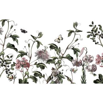 Pillangók Paradicsoma, poszter tapéta