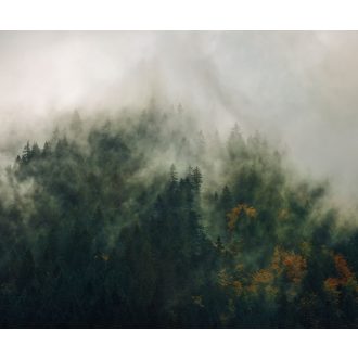 Kárpátok Meséi, poszter tapéta