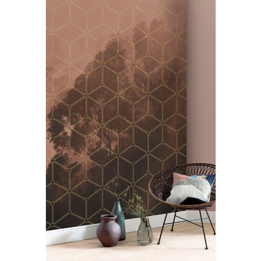 Arany Rács, poszter tapéta