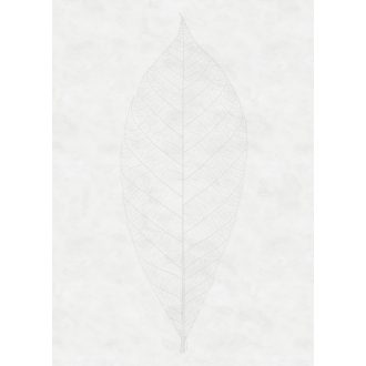 Decens Levél, poszter tapéta