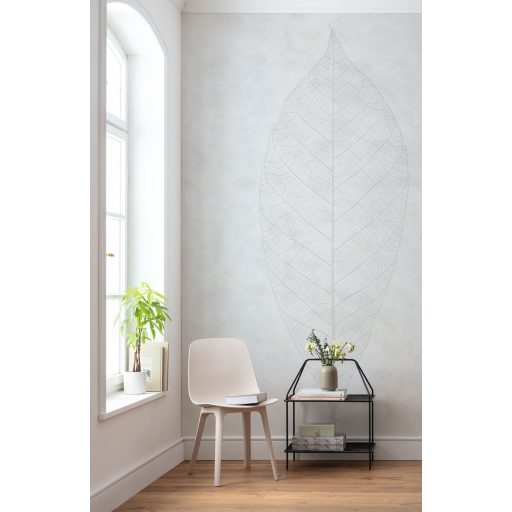 Decens Levél, poszter tapéta