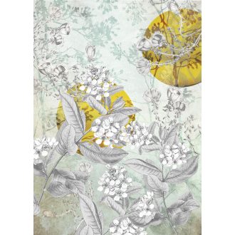 Arany Nap, poszter tapéta