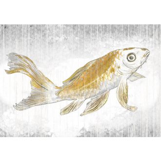 Arany Koi, poszter tapéta