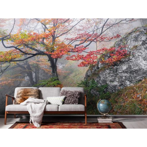 Eufória, poszter tapéta