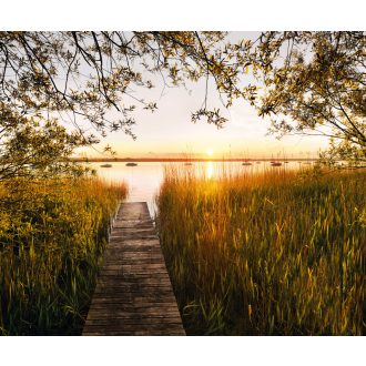 Tópart, poszter tapéta