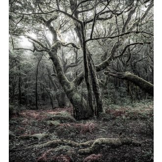 A Modell, poszter tapéta