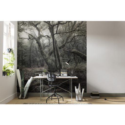 A Modell, poszter tapéta