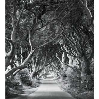 Előtér, poszter tapéta