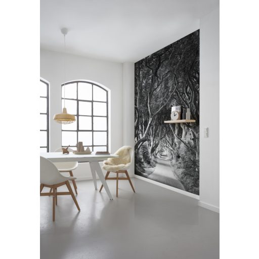 Előtér, poszter tapéta