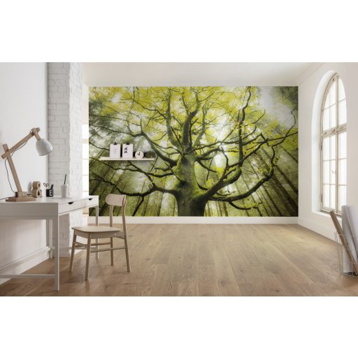 Az Álomfa, poszter tapéta