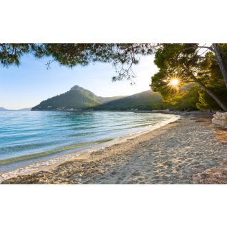 Magányos Paradicsom, poszter tapéta