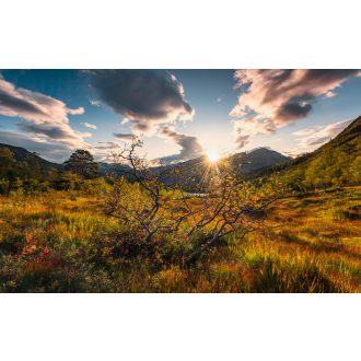 Norvég Őszi Világok, poszter tapéta