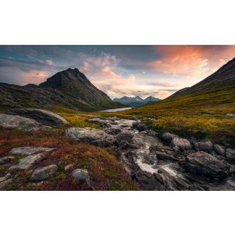 Zord Paradicsom, poszter tapéta