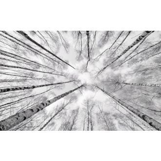 Fehér-Kék, poszter tapéta