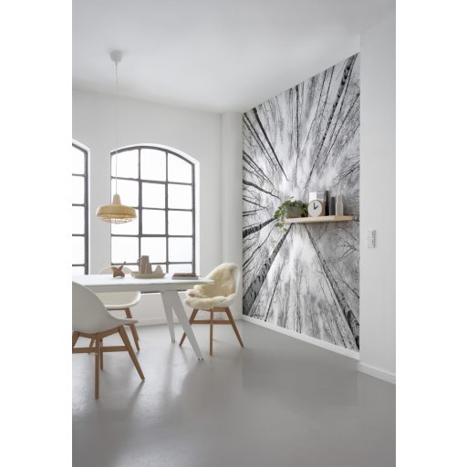 Fehér-Kék, poszter tapéta