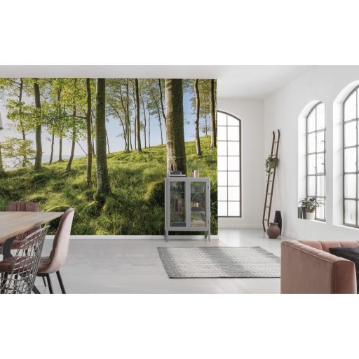 Varázslatos Bükk Spektákulum, poszter tapéta