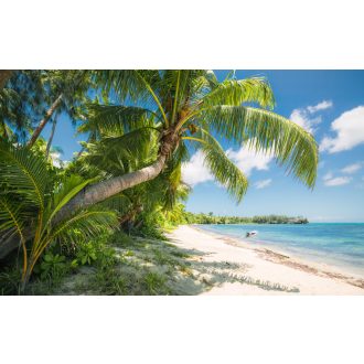 Fidzsi Álmok Hajó, poszter tapéta