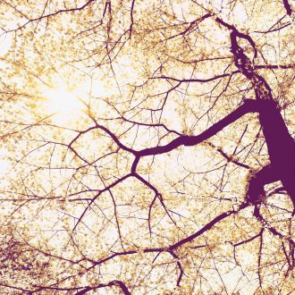 Napfény, poszter tapéta