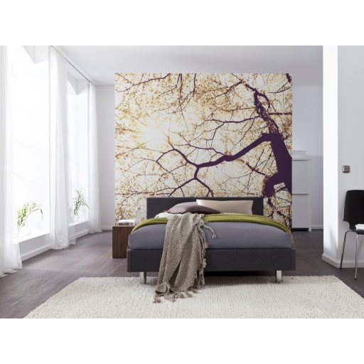 Napfény, poszter tapéta