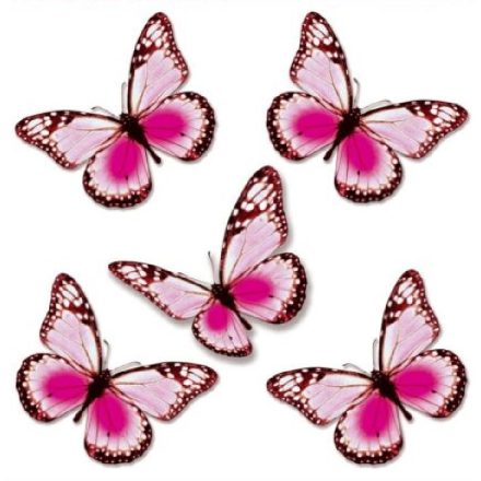 Gyönyörű pillangók1, sztatikus ablakmatrica