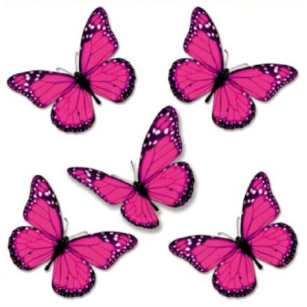 Gyönyörű pillangók3, sztatikus ablakmatrica