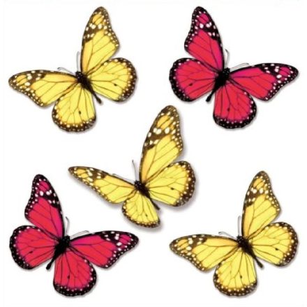 Gyönyörű pillangók4, sztatikus ablakmatrica
