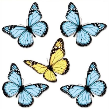 Gyönyörű pillangók7, sztatikus ablakmatrica
