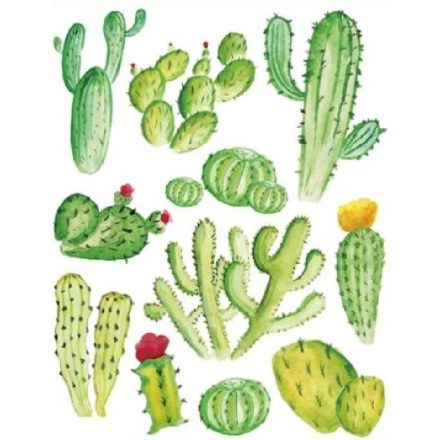 Kaktuszok4, sztatikus ablakmatrica
