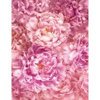 Szelíd, poszter tapéta