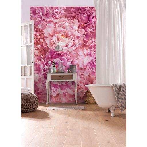 Szelíd, poszter tapéta