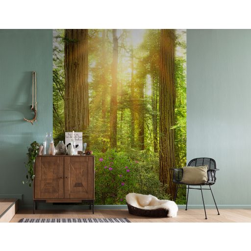 Redwood, poszter tapéta