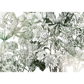 Valerie, poszter tapéta