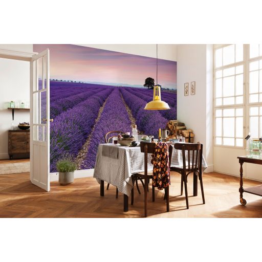 Provence, poszter tapéta