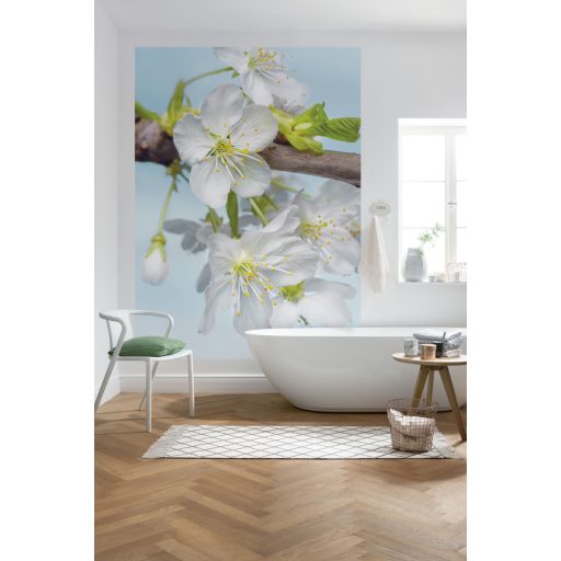 Virágzás, fotótapéta