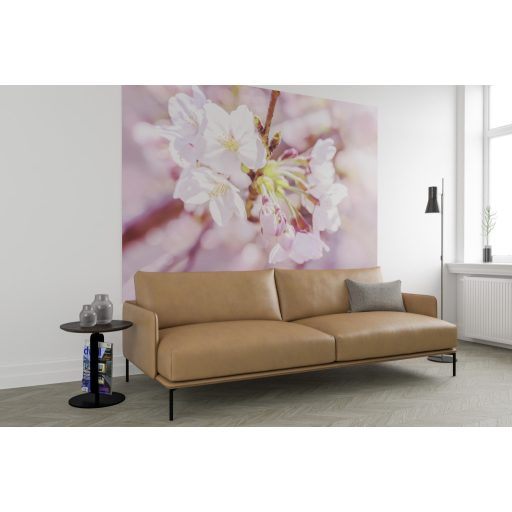 Rózsaszín Virágzás, fotótapéta