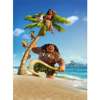 Moana és Maui, fotótapéta