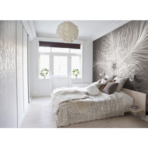 Pihecsillag, fotótapéta