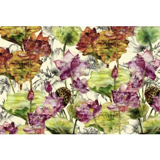 Lótusz, fotótapéta